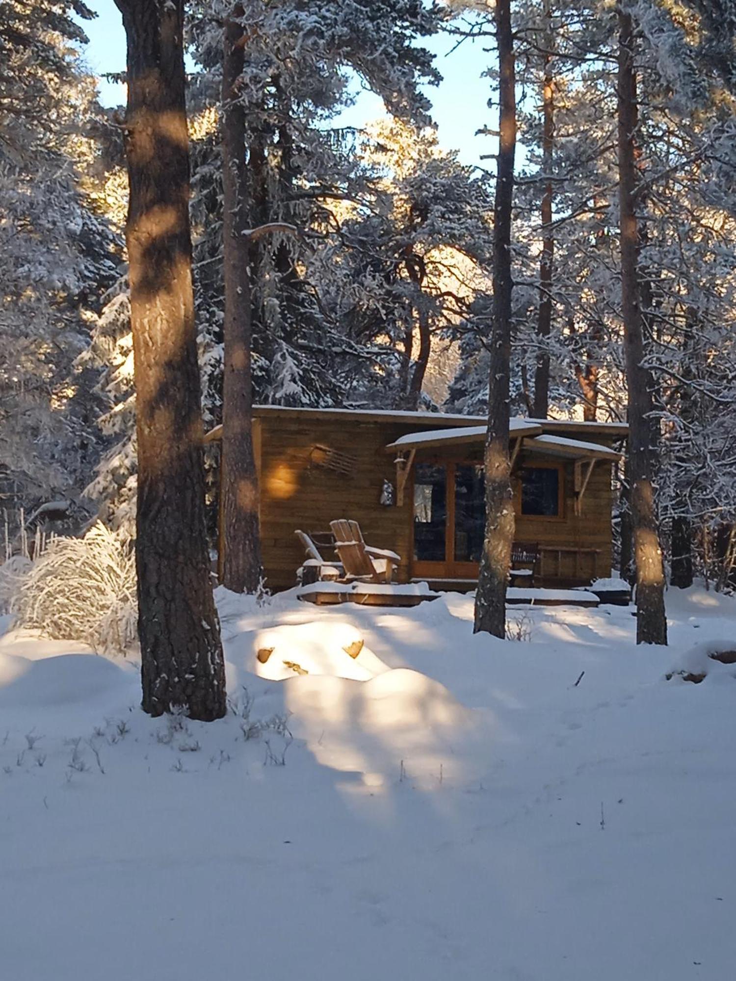 Chalet Hibou 1 Couchage En 140 Domaine De La Mamounette Champclause Buitenkant foto