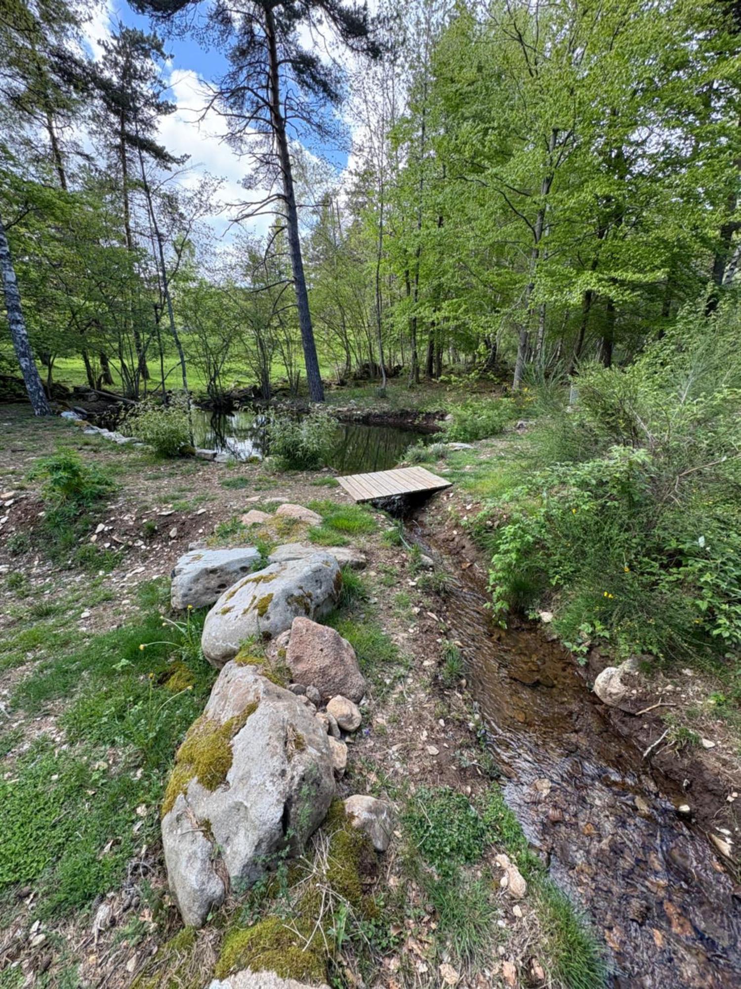 Chalet Hibou 1 Couchage En 140 Domaine De La Mamounette Champclause Buitenkant foto